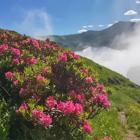 3 Bedroom In Apartment Cauterets